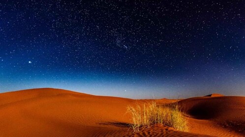 From Doha: Night Desert Safari ,Dune Bashing and Camel Ride