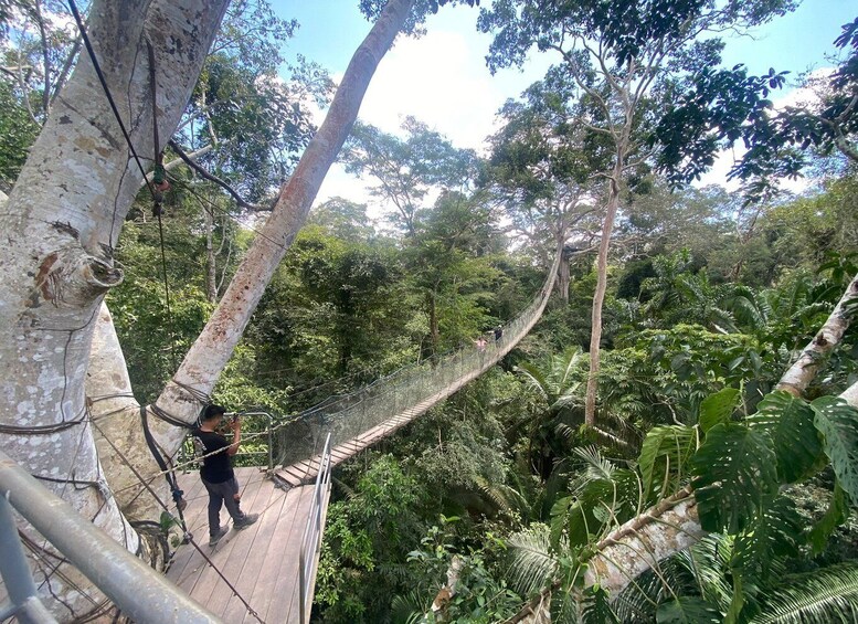 Picture 8 for Activity Tambopata: Zipline Adventure & Kayak to Monkey Island