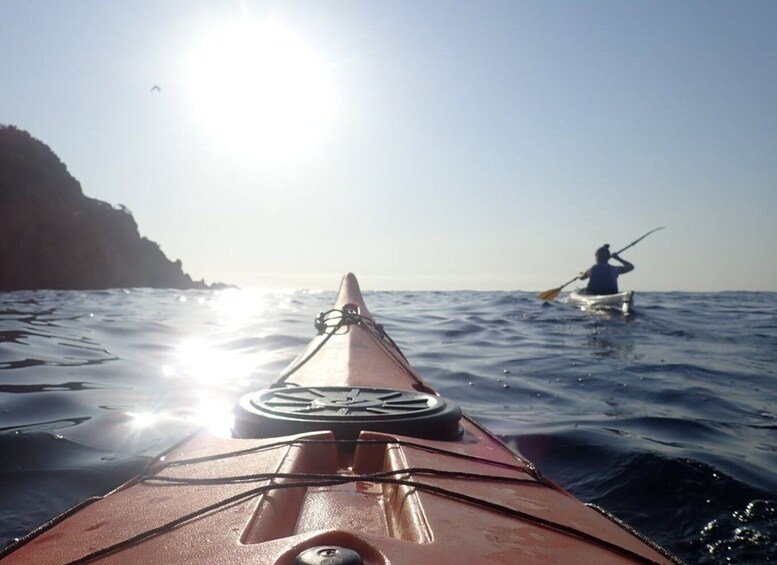 Picture 2 for Activity Sant Feliu de Guíxols: Morning Sea Kayak Tour