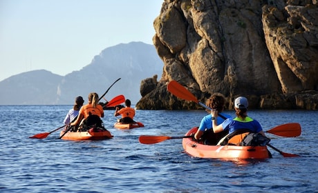 Golfo Aranci: Kayak Tour with Dolphins and Aperitif