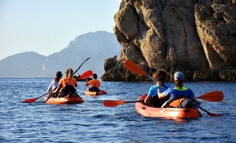 Golfo Aranci: Kayak Tour with Dolphins and Aperitif