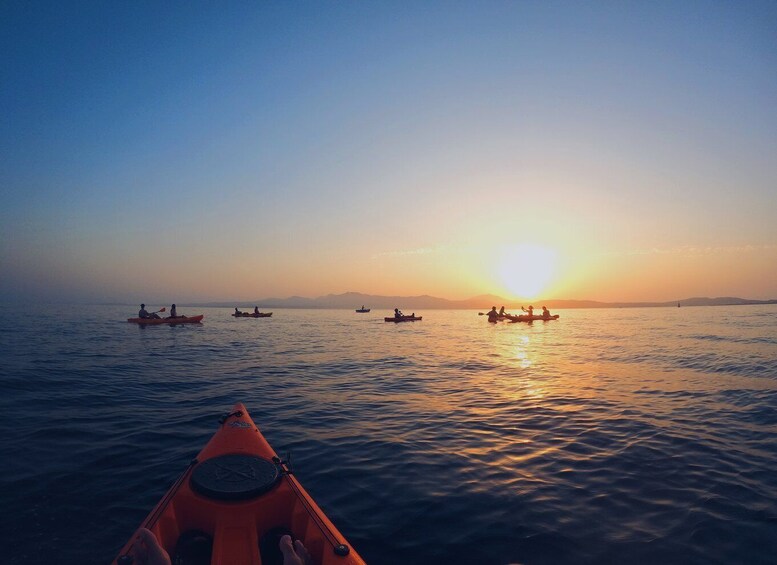 Picture 1 for Activity Golfo Aranci: Kayak Tour with Dolphins and Aperitif