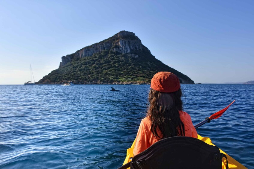 Picture 5 for Activity Golfo Aranci: Kayak Tour with Dolphins and Aperitif