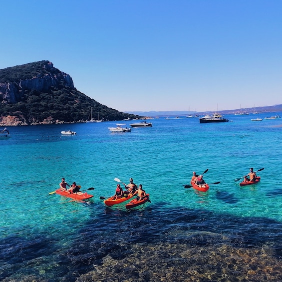 Picture 4 for Activity Golfo Aranci: Kayak Tour with Dolphins and Aperitif
