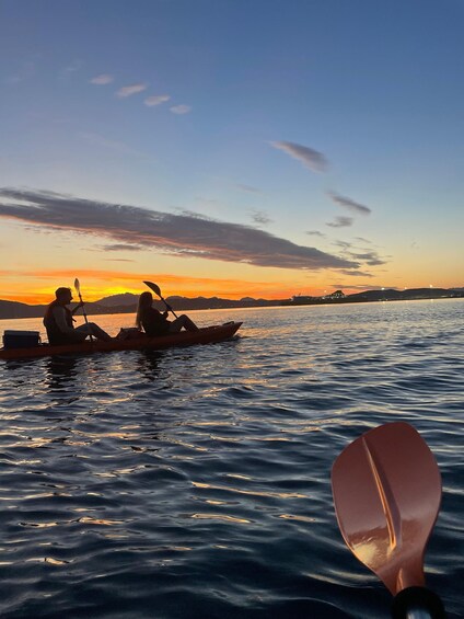 Picture 7 for Activity Golfo Aranci: Kayak Tour with Dolphins and Aperitif