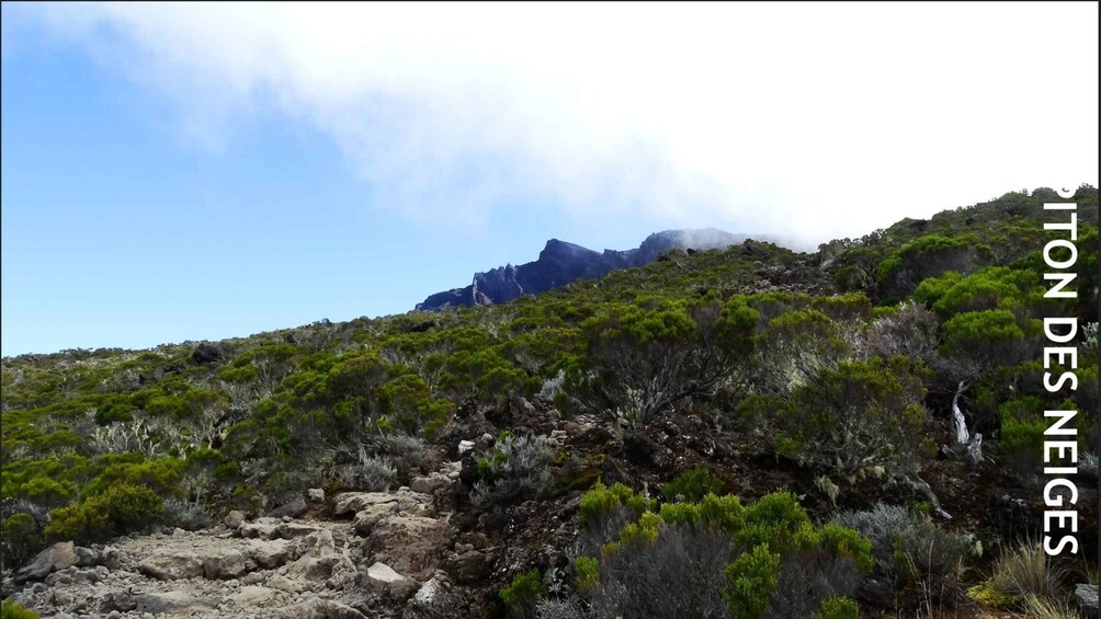 Picture 4 for Activity Réunion: Piton des Neiges Guided Hike