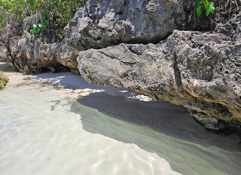 Picture 9 for Activity FULL-DAY CATASPEED - East Lagoon cruise including transfer.