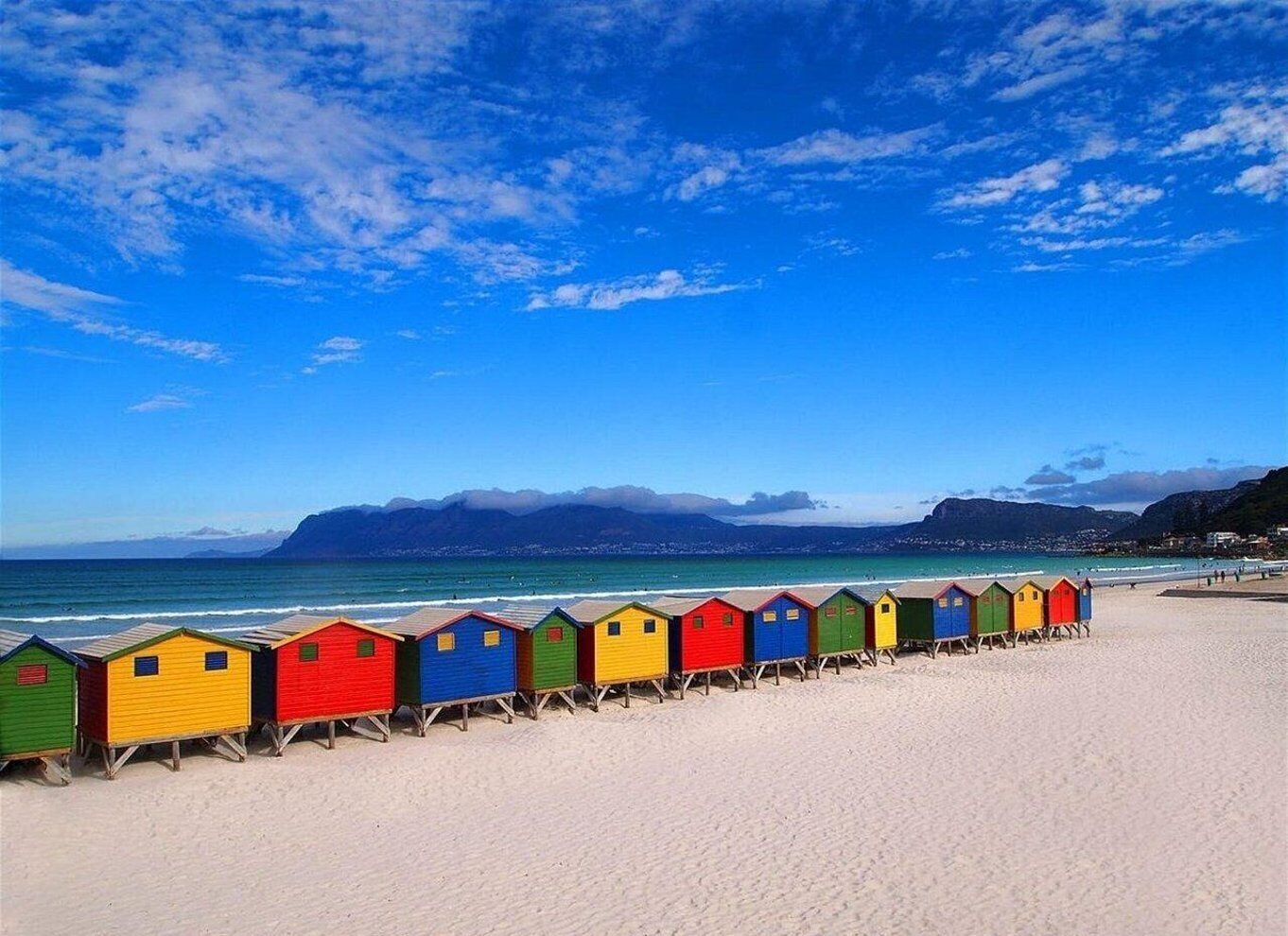 Cape Town: Penguins & Cape of Good Hope Half-Day Tour