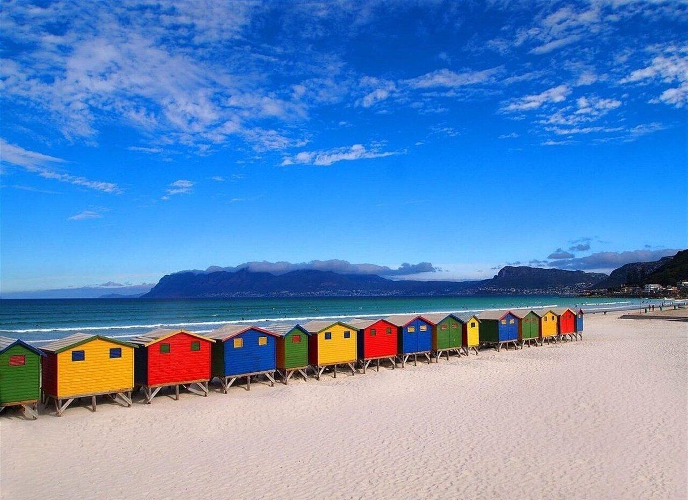 Cape Town: Penguins & Cape of Good Hope Half-Day Tour