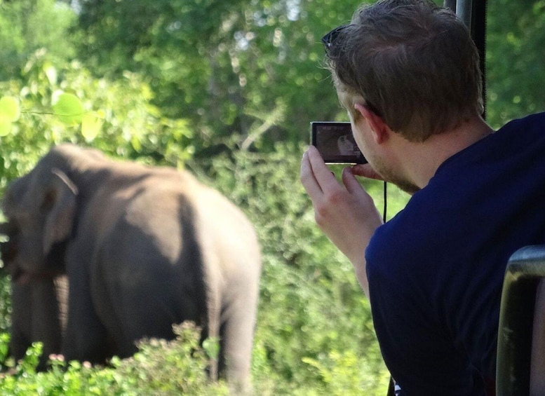 Picture 3 for Activity From Galle/Hikkaduwa:Private Half-Day Leopard Safari in Yala