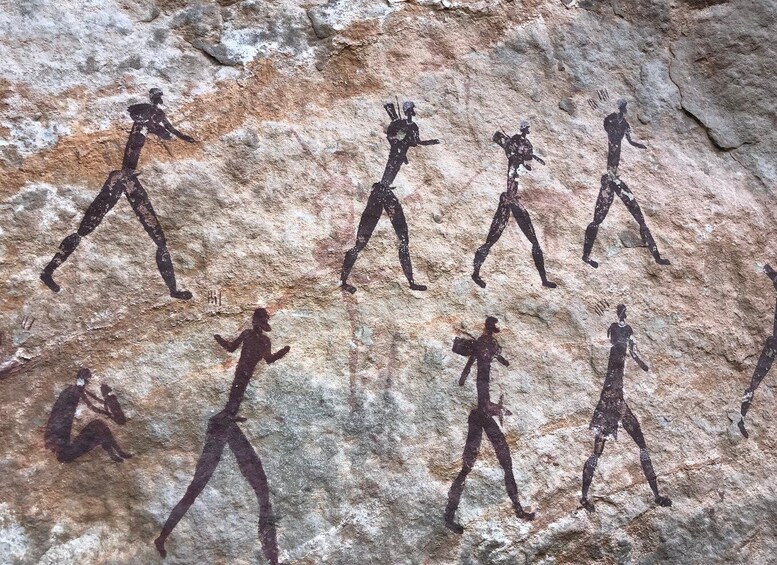 Picture 3 for Activity In the Footsteps of the Bushmen guided day hike to rock art