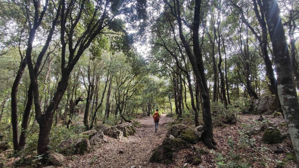 Picture 27 for Activity Bruncu Casteddu: hiking guided tour close Ulassai Village