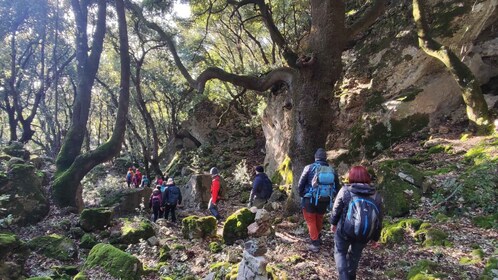 Bruncu Casteddu: hiking guided tour close Ulassai Village