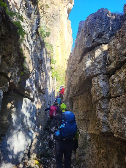 Picture 12 for Activity Bruncu Casteddu: hiking guided tour close Ulassai Village