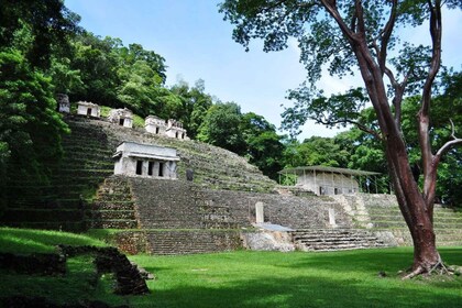 Palenque: Yaxchilán and Bonampak 2 Day Tour