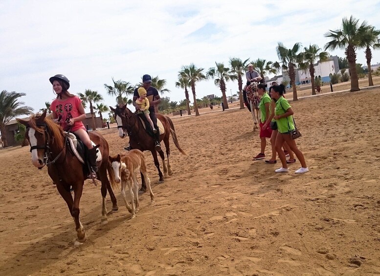 Picture 11 for Activity El Gouna: Desert & Sea Horse Riding With Swimming Optional