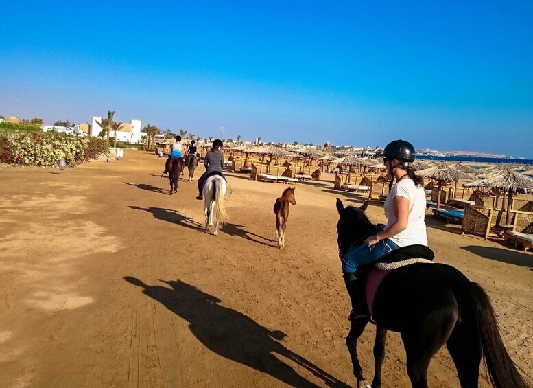 Picture 6 for Activity El Gouna: Desert & Sea Horse Riding With Swimming Optional