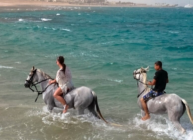 El Gouna: Desert & Sea Horse Riding With Swimming Optional