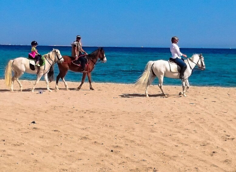 Picture 9 for Activity El Gouna: Desert & Sea Horse Riding With Swimming Optional