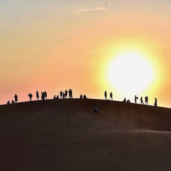 Picture 4 for Activity Doha: Sunset Safari, Dune Bashing, Sand Board and Camel Ride