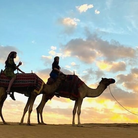 Doha: Sunset Safari, Dune Bashing, Sand Board and Camel Ride