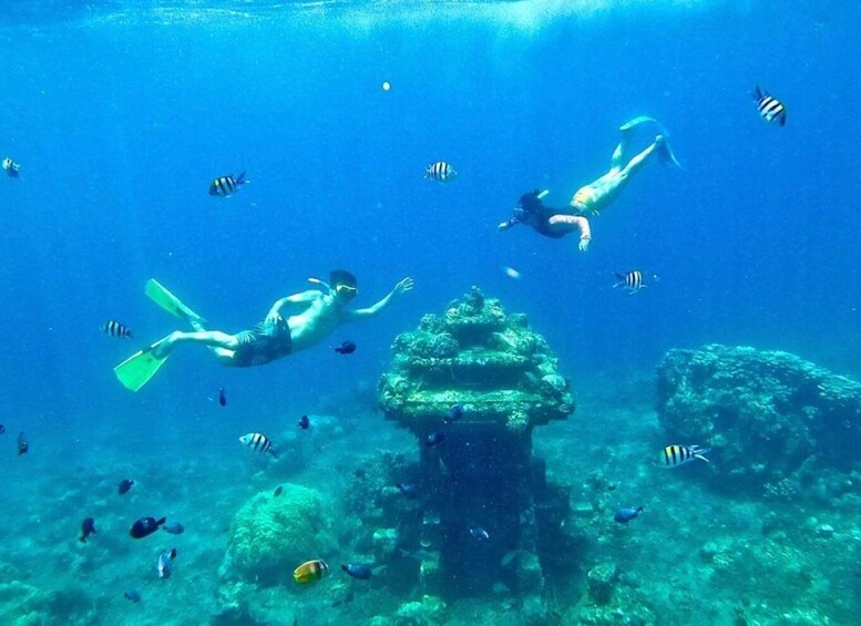 Picture 6 for Activity Bali: Amed, Jemeluk & Lipah Beach Snorkeling Adventure