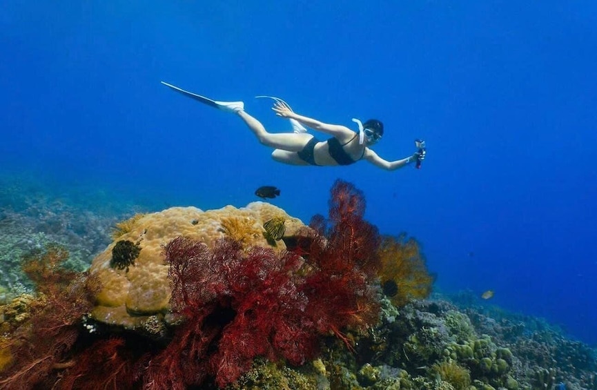 Picture 4 for Activity Bali: Amed, Jemeluk & Lipah Beach Snorkeling Adventure