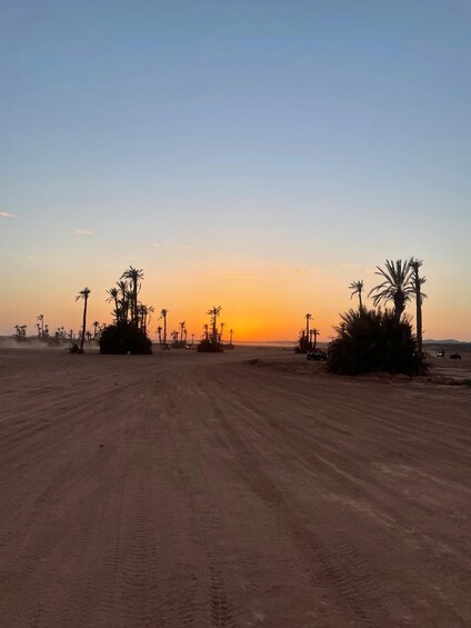 Picture 9 for Activity Marrakech: Quad Excursion in the the palm grove and Jbilet