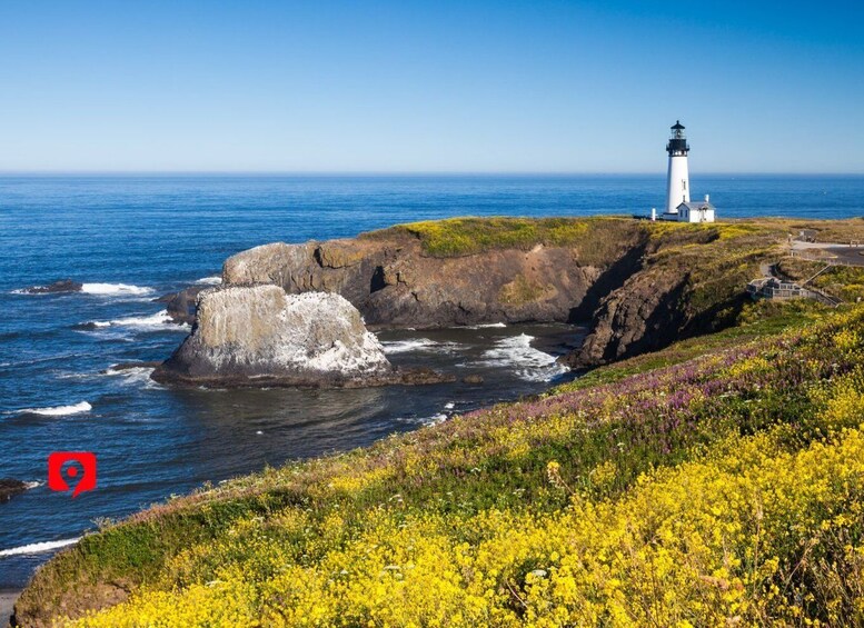 Picture 8 for Activity Oregon Coast: Self-Guided Scenic Coastal Driving Tour