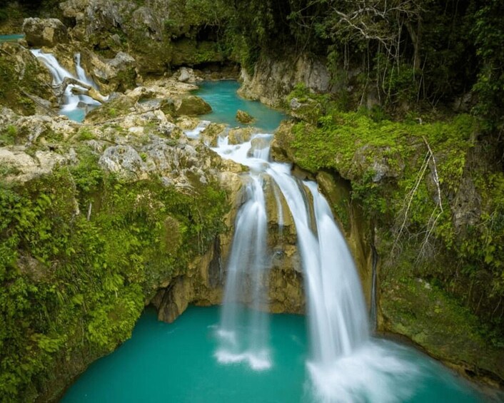 Picture 2 for Activity Oslob Whaleshark & Kawasan Falls Tour