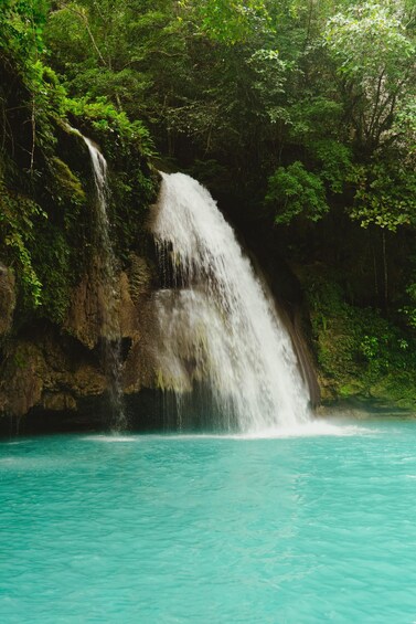 Picture 5 for Activity Oslob Whaleshark & Kawasan Falls Tour