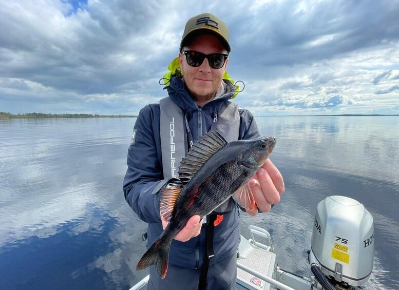 Picture 2 for Activity Kontiolahti: Fishing Trip on Lake Höytiäinen