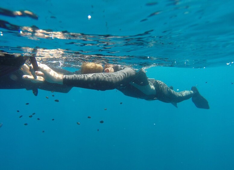 Picture 2 for Activity Tamarindo: Discover Freediving Experience for Beginners