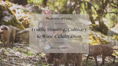 Truffle Hunting, Culinary & Wine Celebration from Heraklion