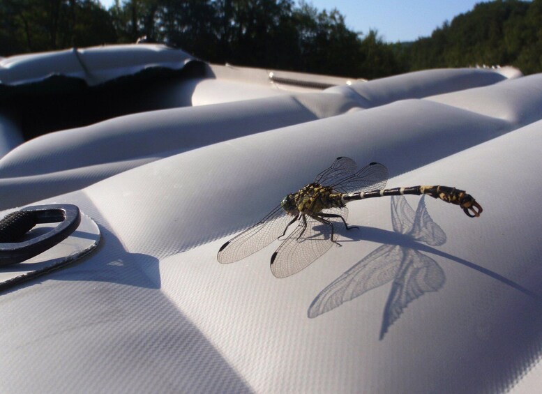 Picture 3 for Activity Severin na Kupi: Canoeing and Kayaking on the Kupa River