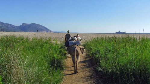 Orosei Gulf: 3 days trekking with donkeys