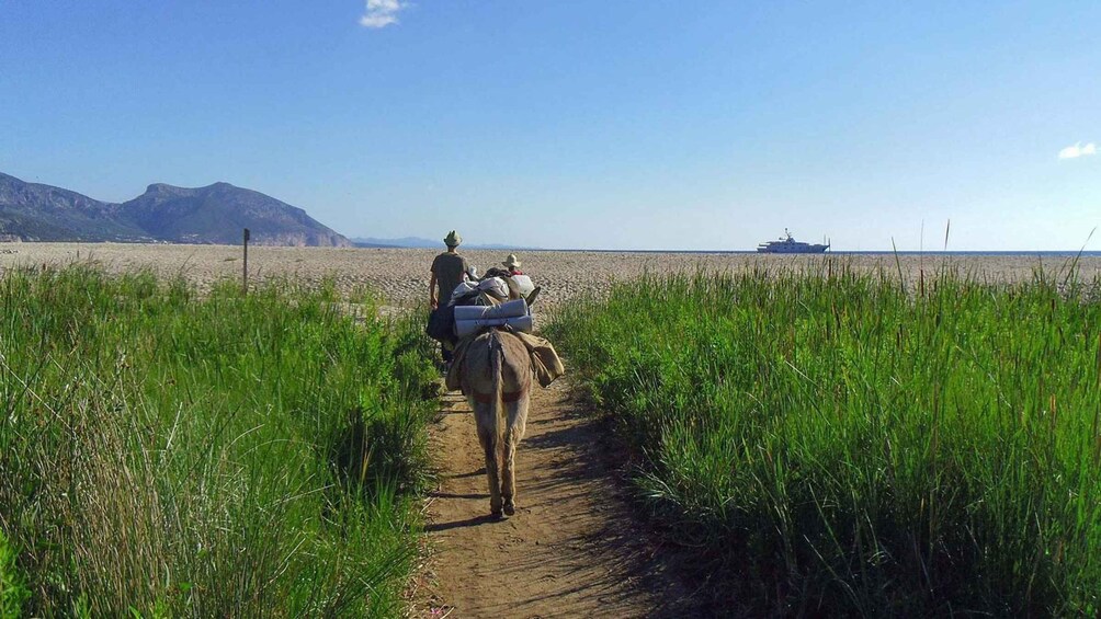 Orosei Gulf: 3 days trekking with donkeys