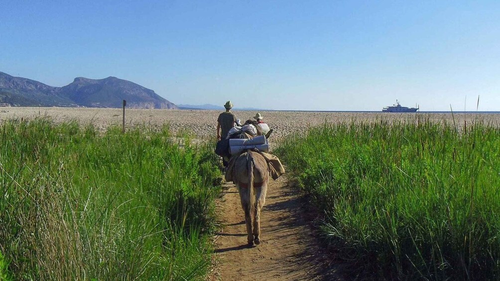 Orosei Gulf: 3 days trekking with donkeys