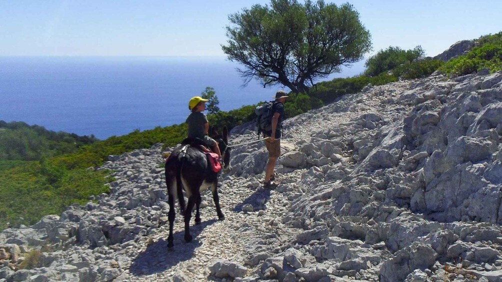 Picture 1 for Activity Orosei Gulf: 3 days trekking with donkeys