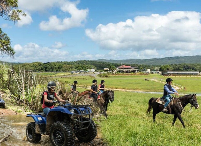 Cairns: Skyrail, Quad Biking, Zoo, and Kuranda Half-Day