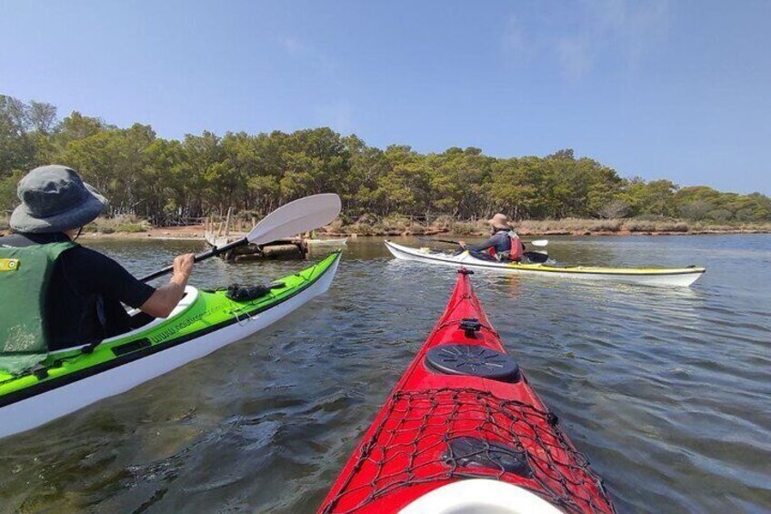 Guided Kayak Tour inside the Stagnone of Marsala