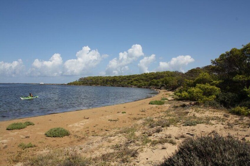 Guided Kayak Tour inside the Stagnone of Marsala