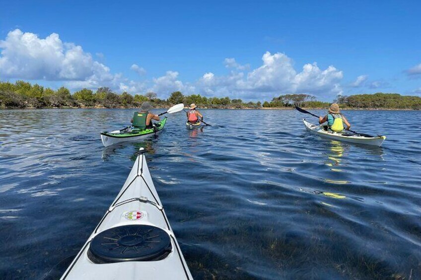 Guided Kayak Tour inside the Stagnone of Marsala