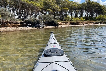 Guided kayak tour inside the Stagnone of Marsala