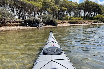 Guided kayak tour inside the Stagnone of Marsala