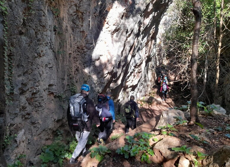 Picture 5 for Activity Sesimbra: Rock Climbing & Abseiling in Arrábida Natural Park