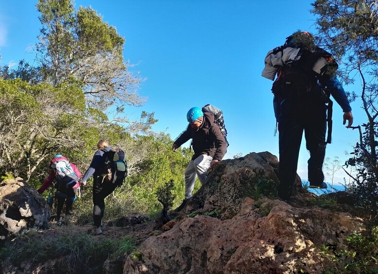 Picture 4 for Activity Sesimbra: Rock Climbing & Abseiling in Arrábida Natural Park