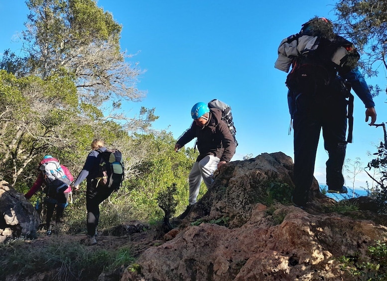 Picture 4 for Activity Sesimbra: Rock Climbing & Abseiling in Arrábida Natural Park