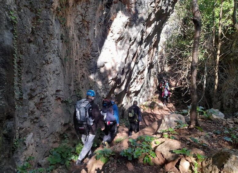 Picture 5 for Activity Sesimbra: Rock Climbing & Abseiling in Arrábida Natural Park