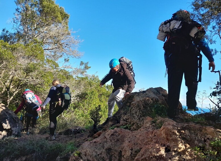 Picture 4 for Activity Sesimbra: Rock Climbing & Abseiling in Arrábida Natural Park